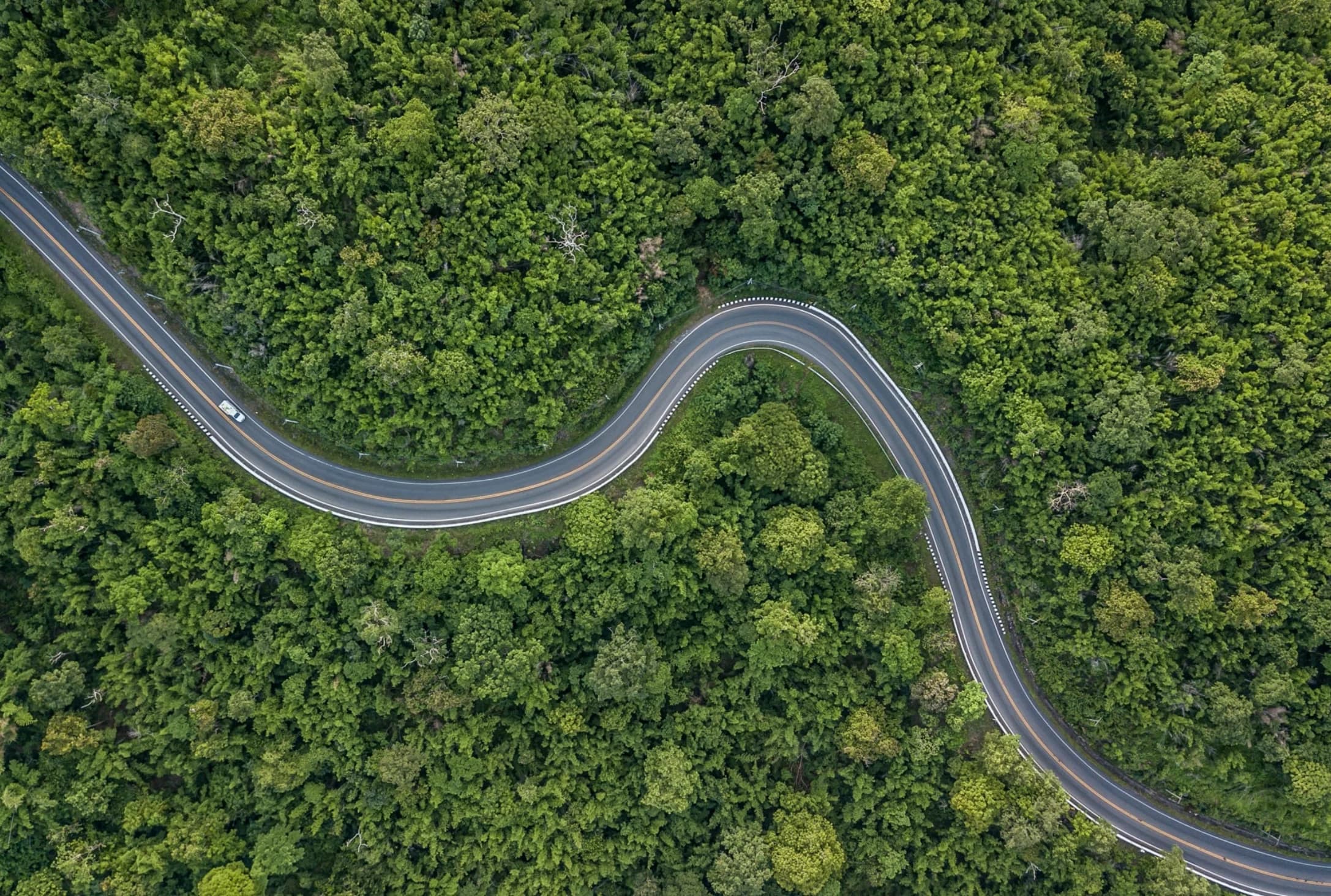 Transporte especializado